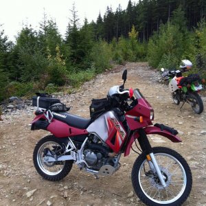 End of Hunter Rd Mission BC