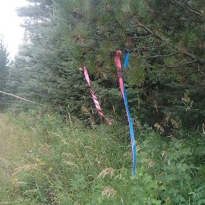 Markers - well done