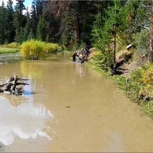 101_Beaver_Dam