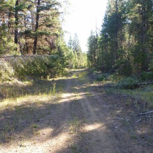 109_Chilko_Lake_Rd