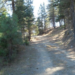 Tesas Creek/Spencer Road