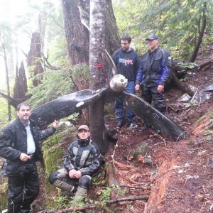 Flora Plane Crash Sept 22 2013