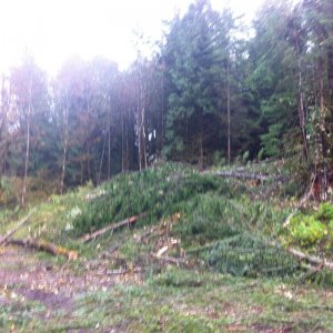 Tamihi Staging Area 2013