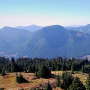 pano