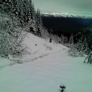 Tamihi In November