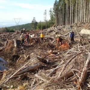 Trail building at BMMC