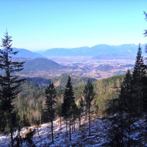Tamihi In December