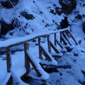 Tamihi In December