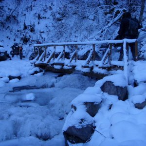 Tamihi In December