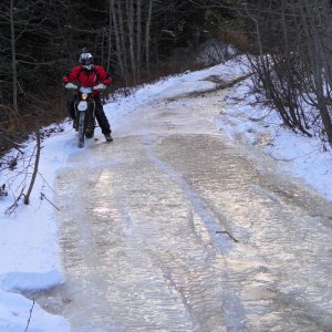Tamihi In December