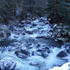 Tamihi In December