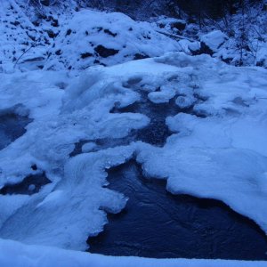 Tamihi In December