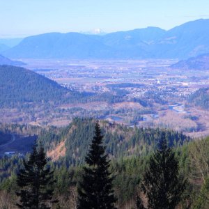 Tamihi In December