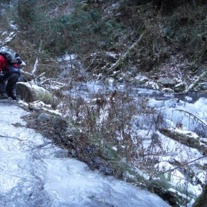 Tamihi In December
