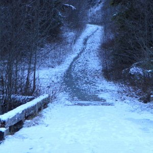 Tamihi In December