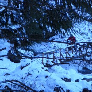Tamihi In December