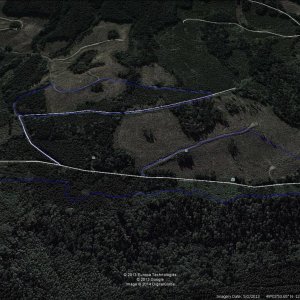Image of Trails on Tamihi