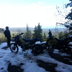 Mt Benson March 9 2014