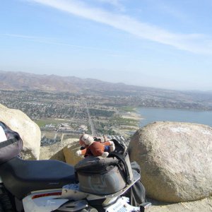 corona rides