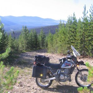 CDT 2011