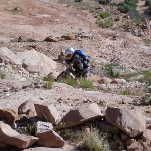 moab_518
