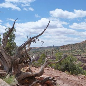 moab_259