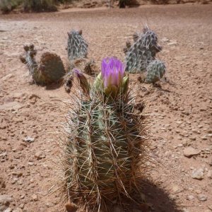 moab_3821