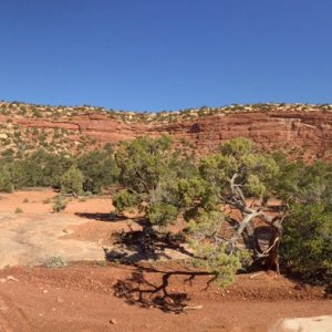 One of the many mesas