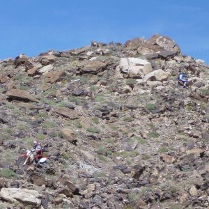 moab_529