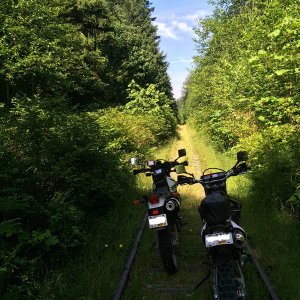 Little Qualicum crash bypass
