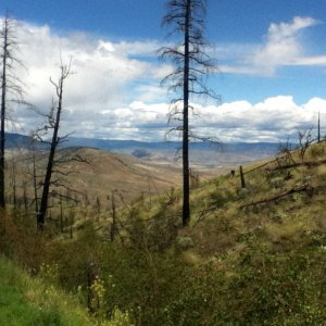 IMG_00751