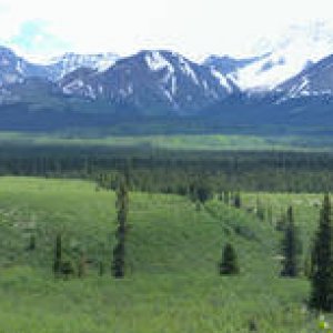 Panorama_19