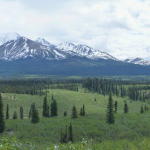 Panorama_201