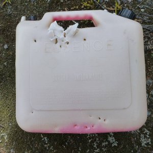 P1100309