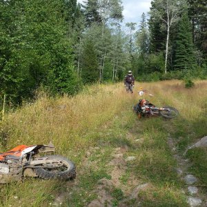 KTM nap time