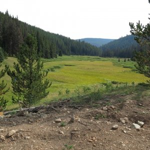 meadows