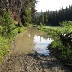 mud_hole_at_the_beaver_dam