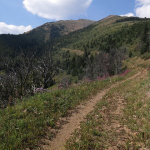 relay_creek