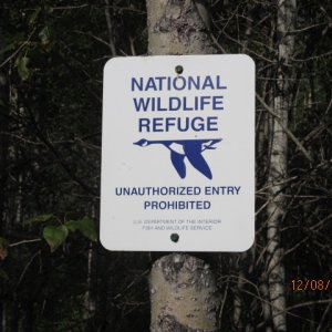 The Lodge 2014