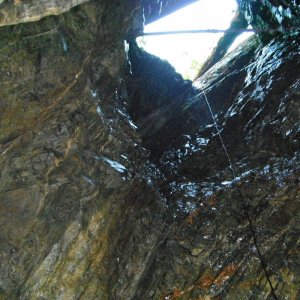 Dead Horse Creek Gold Mine
