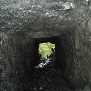 Dead Horse Creek Gold Mine