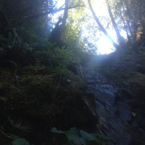 Dead Horse Creek Gold Mine