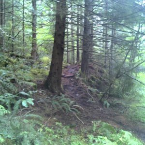 DSC00012
