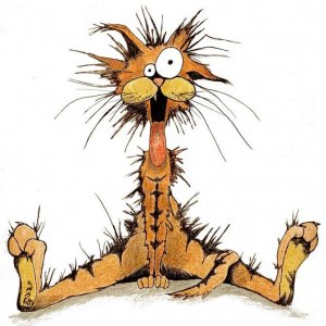 Bill_The_Cat_by_DaVinci73