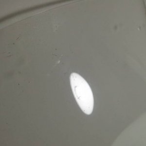 IMG_1304
