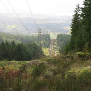 IMG_2539