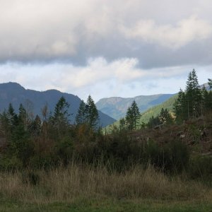 IMG_2541