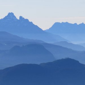 IMG_2785