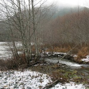 IMG_2869