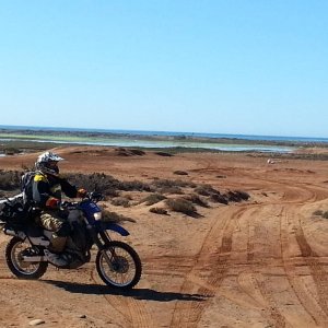 Baja 2014